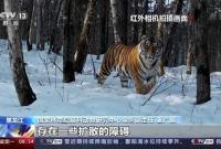 �ŚwҰ��һ�� �����_(d��)ɽ1̖(h��o)���F(xi��n)����r�����