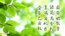 ��������B(y��ng)���� (t��ng) (t��ng)�������t(y��)������ô�f(shu��)