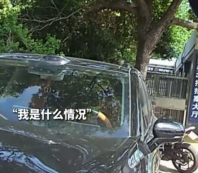 ΢��ҕ�l2026-05-05_152044_301 00_00_02-00_00_07~3.gif
